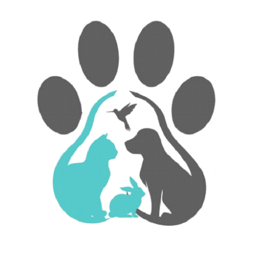 Just 4 Pets Wellness Center for  Android – Latest Version & Features app icon