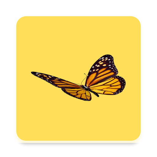 Yellow Wallpapers HD logo