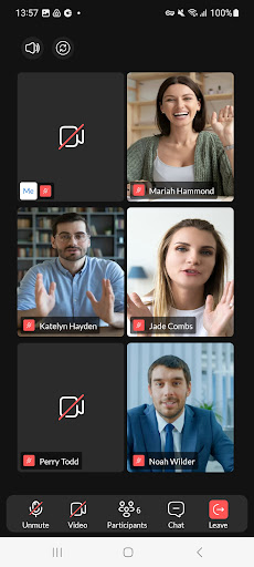 Dave Meeting Screen 3