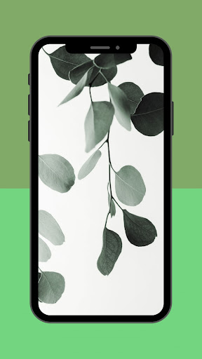 Botanical Aesthetic Wallpaper