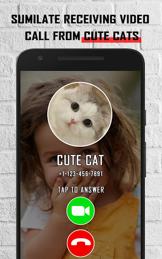 Cat fake video call prank Screen 2