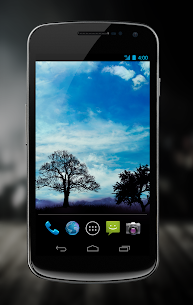 Day Night Live Wallpaper (All) APK (Paid) 4