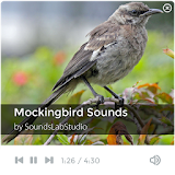 Mockingbird Sounds icon