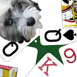 K9 Sheepshead: (Schafkopf) Trick-taking Card Game icon