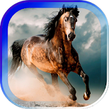 Horses Race live wallpaper icon