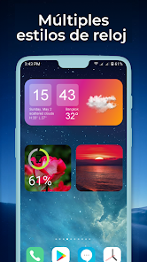 Imagen de la captura de pantalla