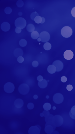 Slice n Dice pizza quiz