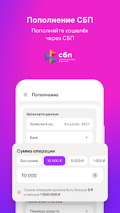 Balance Pay 3