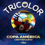 Tricolor Copa América icon