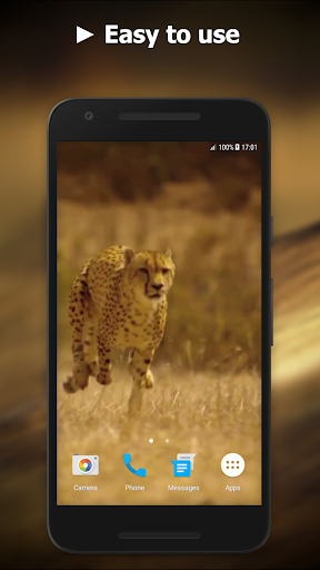 Cheetah Video Live Wallpaper Screen 3