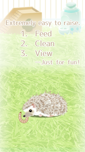 Hedgehog Pet  screenshots 2