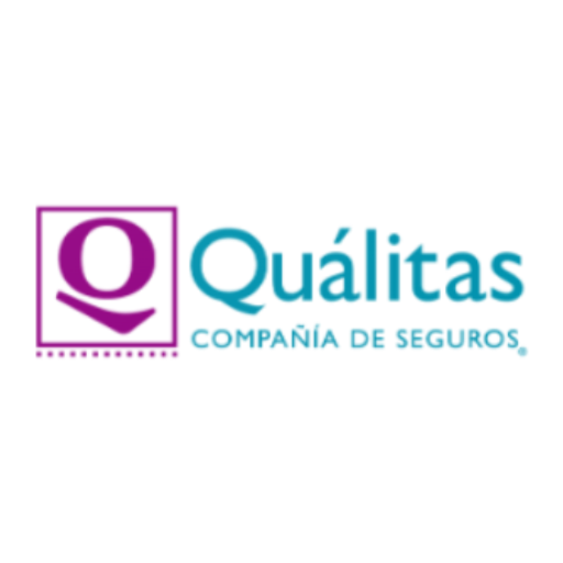 QVisitasGestor logo
