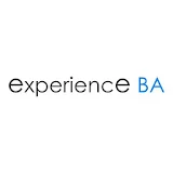 Experience BA icon