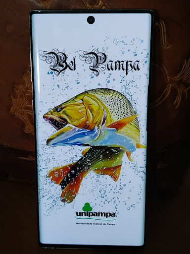 Android application Belezas do Pampa screenshort