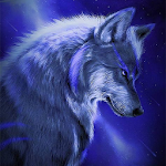 Cover Image of Download Ice Wallpaper and Keyboard - Wolf 1.0 APK