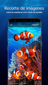 Screenshot 4 Fondo de pantalla bajo el agua android