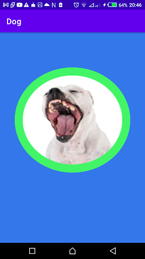Dog Screen 2