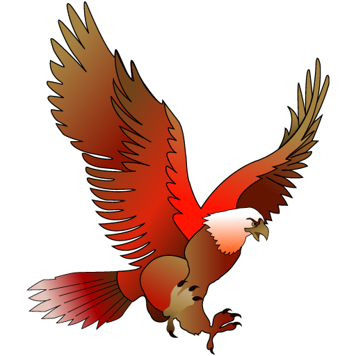 Android application King Bird Oman / OPC89546 screenshort