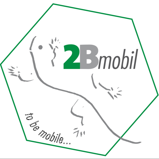 2Bmobil*Sales - Demo logo