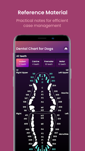 Vetpocket Screen 3