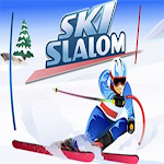 Cover Image of Herunterladen Ski Slalom 1.0 APK