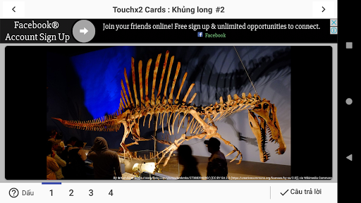 Bản xem trước ứng dụng