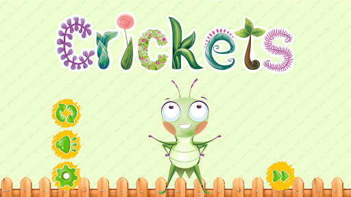 Android application Crickets screenshort