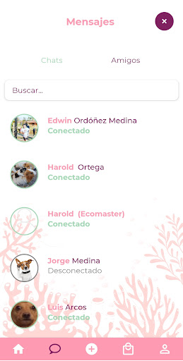 Ecoideas Screen 2