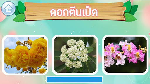 เกมส์ทายชื่อดอกไม้ไทย 2564