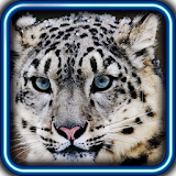 Snow Leopard Best HD LWP icon
