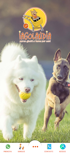 Android application Iagolandia Parco Giochi Cani screenshort
