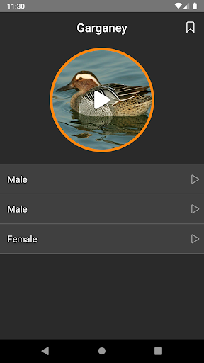 Decoy. Hunting calls Screen 2
