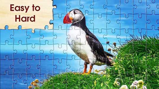 Jigsaw Puzzle HD 2023