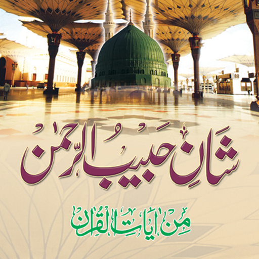 ShanE Habib Ur Rehmanشان حبیب logo