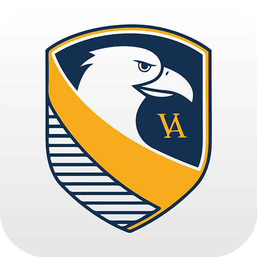 Veiga Connect logo
