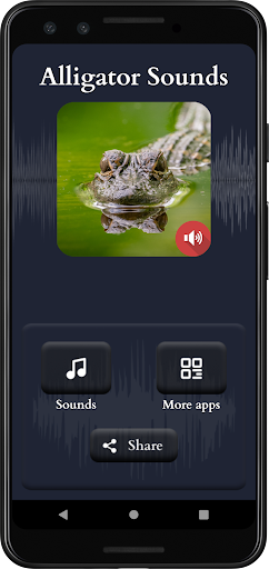 Alligator Sounds Screen 2