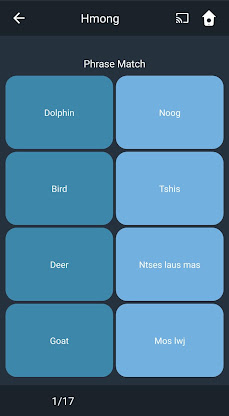 Learn Hmong. Speak Hmong. Stud screenshot 5