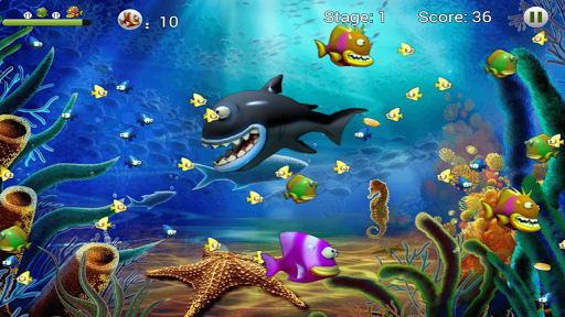 Feeding Frenzy - Eat Fish Screen 2