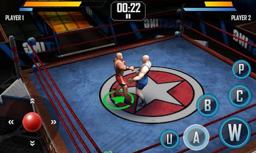 Real Wrestling 3D 1