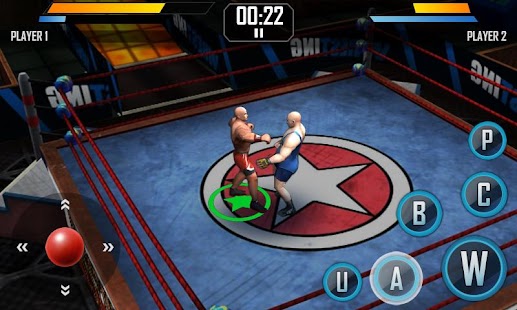 Real Wrestling 3D Screenshot