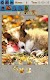 screenshot of Dogs Jigsaw Puzzles