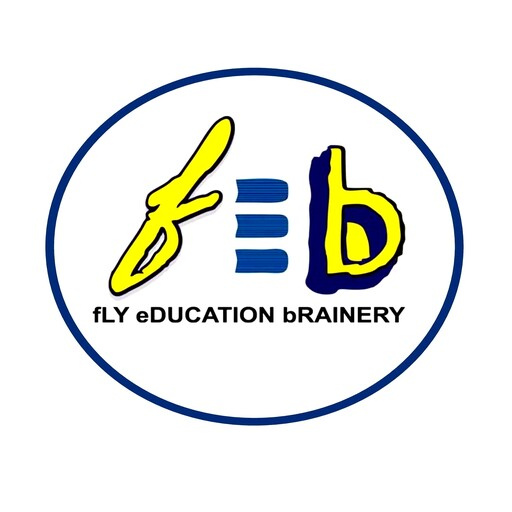 Fly Education Brainery logo