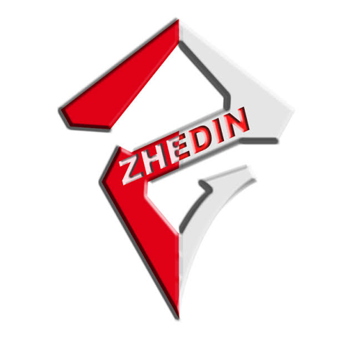ZHEDIN PAY logo