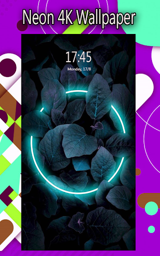 neon 4k wallpaper hd