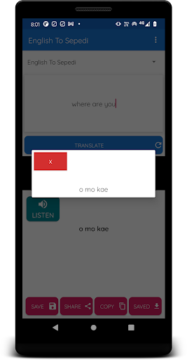 English To Sepedi Translator Screen 2