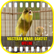 Masteran Kenari Dahsyat Ngerol Panjang Offline