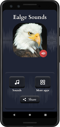Eagle Sounds Screen 2
