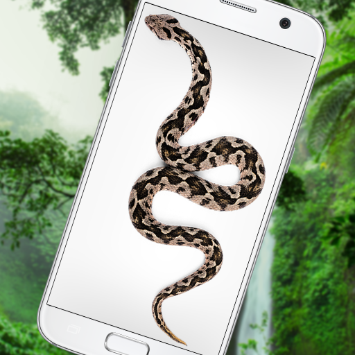 App to Play Snake on Phone