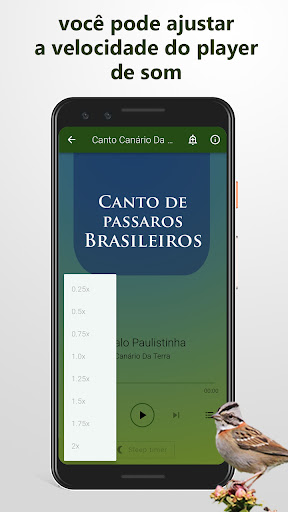 Canto De Passaros Brasileiros