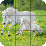 Puzzle - Beautiful Horses icon